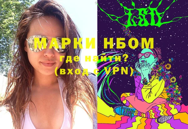 дмт Бородино