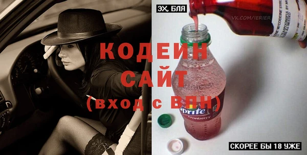 дмт Бородино