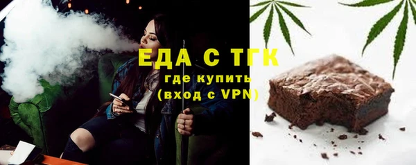 дмт Бородино