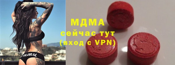 дмт Бородино